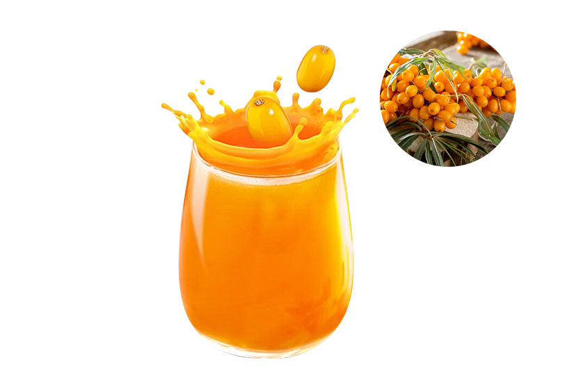 Sea Buckthorn Puree